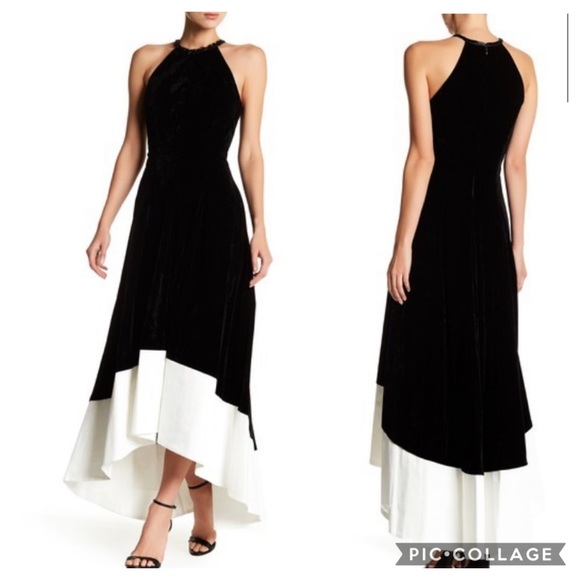 Carmen Marc Valvo halter sleeveless hi and low velvet Gown - Picture 3 of 5